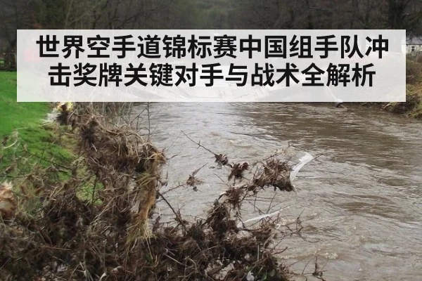 世界空手道锦标赛中国组手队冲击奖牌关键对手与战术全解析