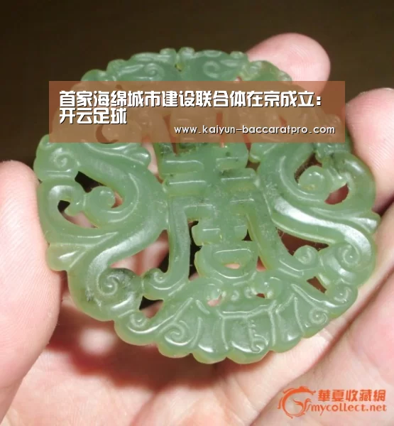 开云体育