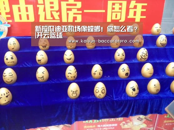 开云篮球