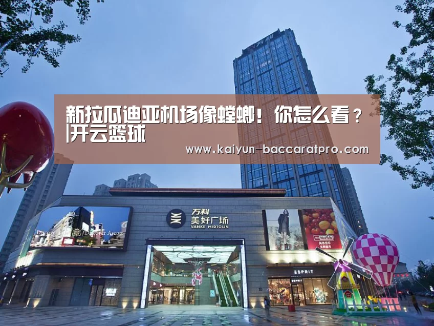 新拉瓜迪亚机场像螳螂！你怎么看？|开云篮球